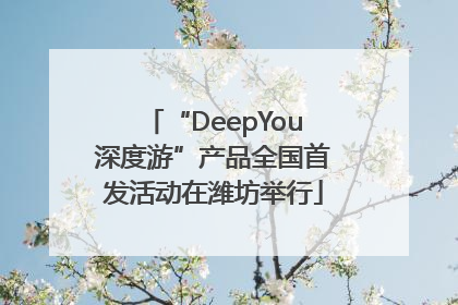 “DeepYou深度游”产品全国首发活动在潍坊举行