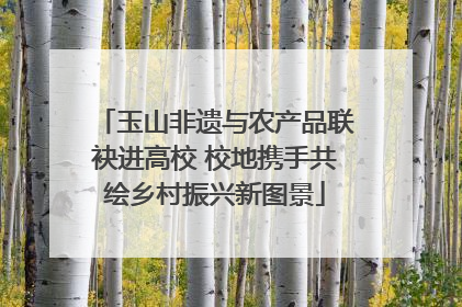 玉山非遗与农产品联袂进高校 校地携手共绘乡村振兴新图景