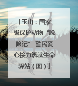 玉山：国家二级保护动物“脱险记” 警民爱心接力筑就生命驿站（图）