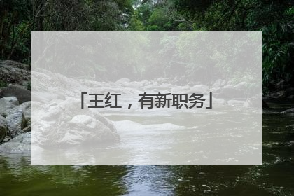 王红，有新职务