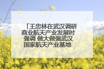 王忠林在武汉调研商业航天产业发展时强调 做大做强武汉国家航天产业基地 打造具有全国影响力的“中国星谷”