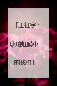 王征宇：琥珀虹膜中的我们
