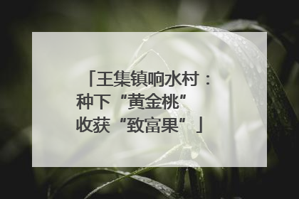 王集镇响水村：种下“黄金桃” 收获“致富果”