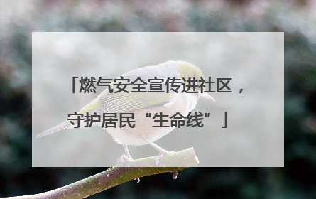 燃气安全宣传进社区，守护居民“生命线”