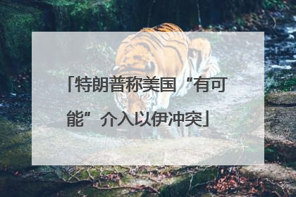特朗普称美国“有可能”介入以伊冲突