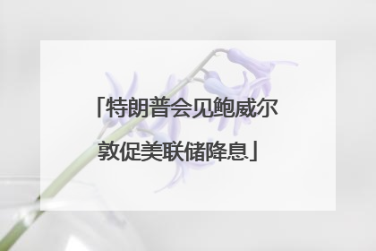 特朗普会见鲍威尔 敦促美联储降息
