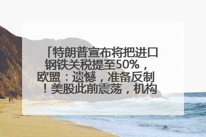 特朗普宣布将把进口钢铁关税提至50%，欧盟：遗憾，准备反制！美股此前震荡，机构：美元正进入熊市