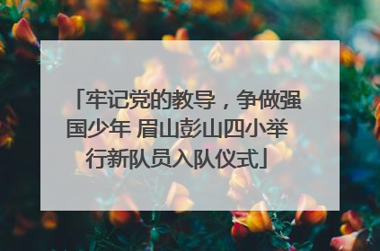 牢记党的教导，争做强国少年 眉山彭山四小举行新队员入队仪式
