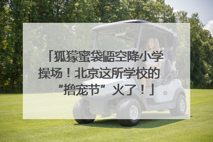 狐獴蜜袋鼯空降小学操场！北京这所学校的“撸宠节”火了！