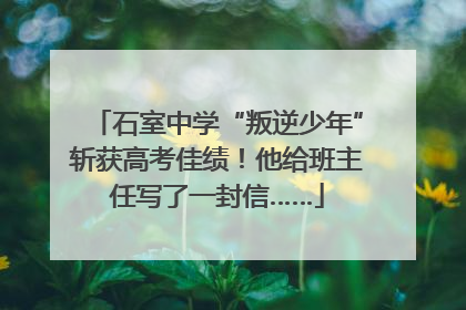 石室中学“叛逆少年”斩获高考佳绩！他给班主任写了一封信……