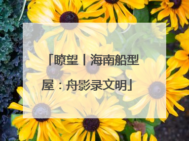 瞭望丨海南船型屋：舟影录文明
