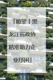 瞭望丨黑龙江省政协精准助力企业纾困