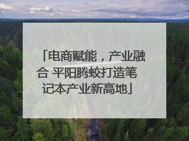 电商赋能，产业融合 平阳腾蛟打造笔记本产业新高地