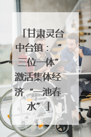 甘肃灵台中台镇：“三位一体”激活集体经济“一池春水”