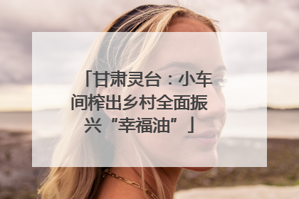甘肃灵台：小车间榨出乡村全面振兴“幸福油”