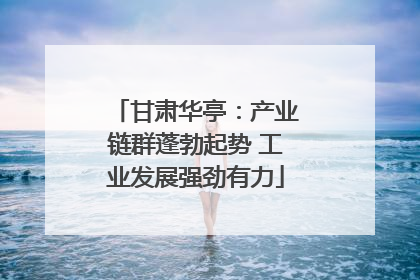 甘肃华亭：产业链群蓬勃起势 工业发展强劲有力