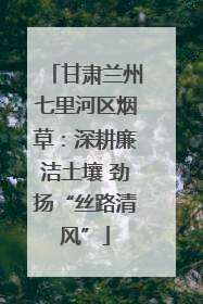 甘肃兰州七里河区烟草：深耕廉洁土壤 劲扬“丝路清风”