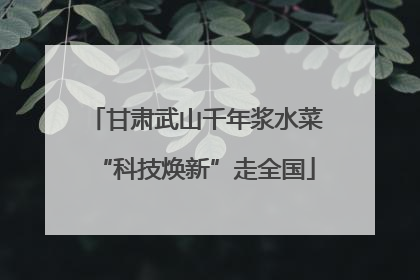 甘肃武山千年浆水菜“科技焕新”走全国