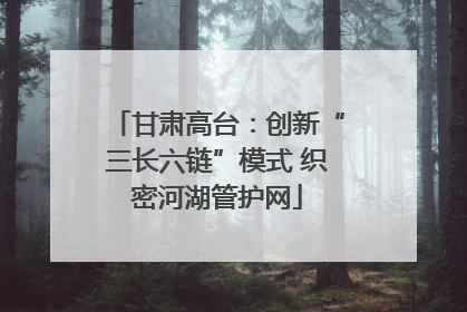 甘肃高台：创新“三长六链”模式 织密河湖管护网