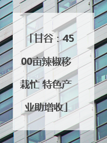 甘谷：4500亩辣椒移栽忙 特色产业助增收