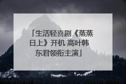生活轻喜剧《蒸蒸日上》开机 高叶韩东君领衔主演