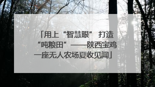 用上“智慧眼” 打造“吨粮田”——陕西宝鸡一座无人农场夏收见闻