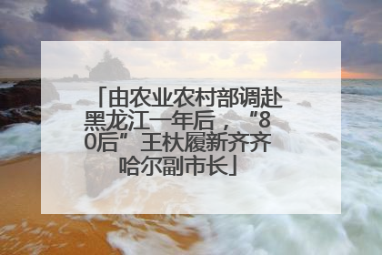由农业农村部调赴黑龙江一年后，“80后”王杕履新齐齐哈尔副市长