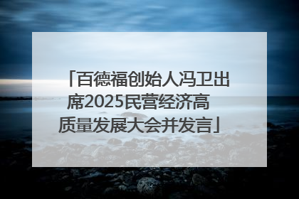 百德福创始人冯卫出席2025民营经济高质量发展大会并发言