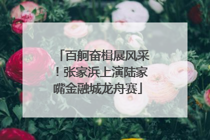 百舸奋楫展风采！张家浜上演陆家嘴金融城龙舟赛