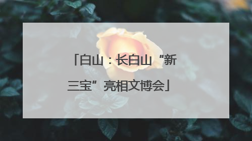白山：长白山“新三宝”亮相文博会