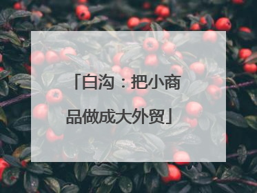 白沟：把小商品做成大外贸