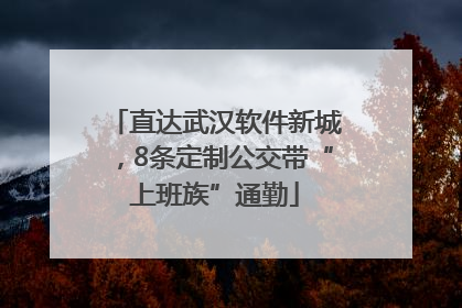 直达武汉软件新城，8条定制公交带“上班族”通勤