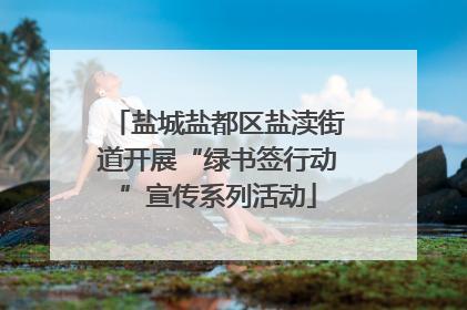 盐城盐都区盐渎街道开展“绿书签行动”宣传系列活动