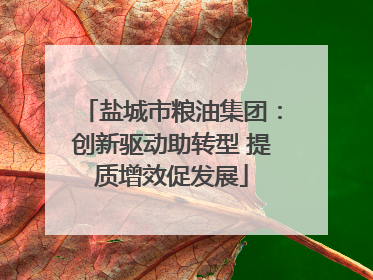 盐城市粮油集团：创新驱动助转型 提质增效促发展