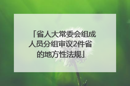 省人大常委会组成人员分组审议2件省的地方性法规