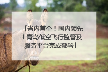 省内首个！国内领先！青岛低空飞行监管及服务平台完成部署