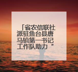 省农信联社派驻鱼台县唐马镇第一书记工作队助力“三夏”生产 彰显为民担当