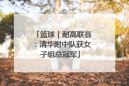 篮球｜耐高联赛：清华附中队获女子组总冠军