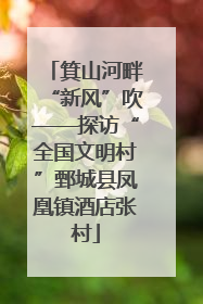 箕山河畔“新风”吹——探访“全国文明村”鄄城县凤凰镇酒店张村