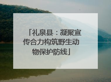 礼泉县：凝聚宣传合力构筑野生动物保护防线