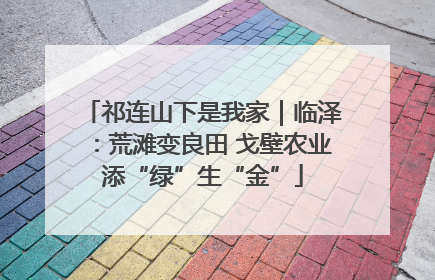 祁连山下是我家｜临泽：荒滩变良田 戈壁农业添“绿”生“金”