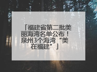 福建省第二批美丽海湾名单公布！泉州3个海湾“美在福建”