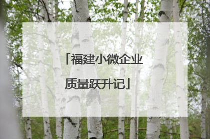 福建小微企业质量跃升记