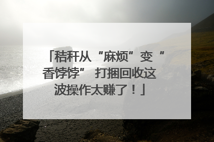 秸秆从“麻烦”变“香饽饽” 打捆回收这波操作太赚了！