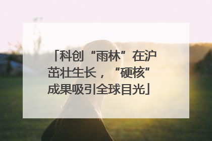 科创“雨林”在沪茁壮生长，“硬核”成果吸引全球目光
