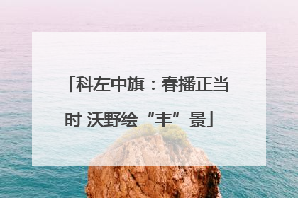 科左中旗：春播正当时 沃野绘“丰”景