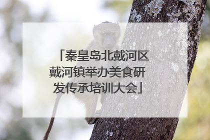 秦皇岛北戴河区戴河镇举办美食研发传承培训大会