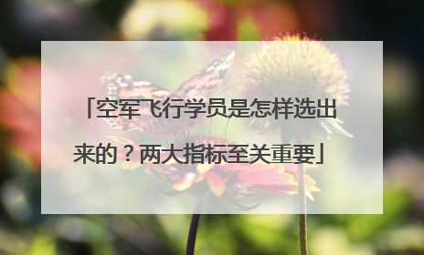 空军飞行学员是怎样选出来的？两大指标至关重要