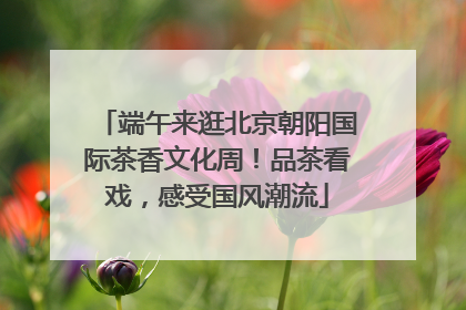 端午来逛北京朝阳国际茶香文化周！品茶看戏，感受国风潮流