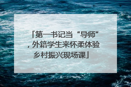第一书记当“导师”，外籍学生来怀柔体验乡村振兴现场课